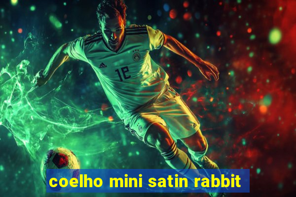 coelho mini satin rabbit