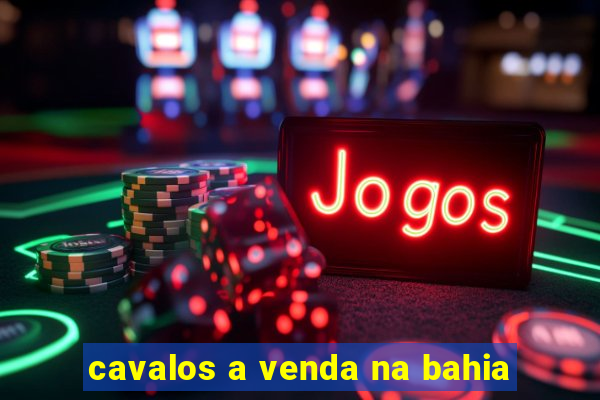 cavalos a venda na bahia