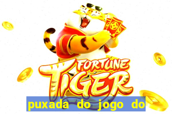 puxada do jogo do bicho da sueli