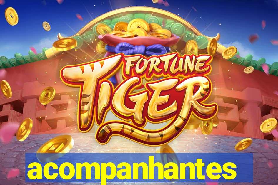 acompanhantes chamadas de video