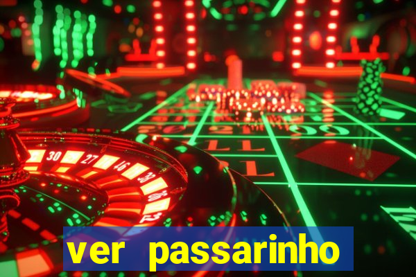 ver passarinho morto significado espiritual