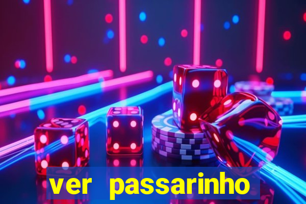 ver passarinho morto significado