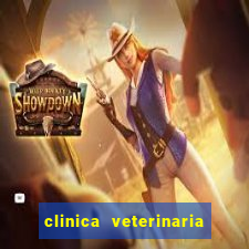 clinica veterinaria cuidar betim