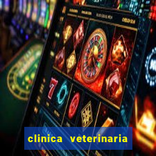 clinica veterinaria cuidar betim