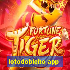 lotodobicho app