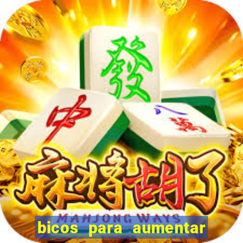 bicos para aumentar a renda