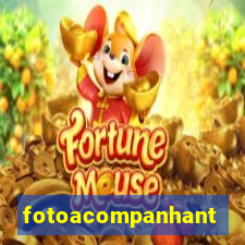 fotoacompanhante
