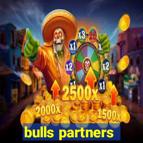 bulls partners