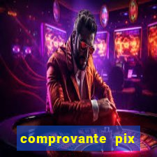 comprovante pix fake meme