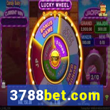 3788bet.com