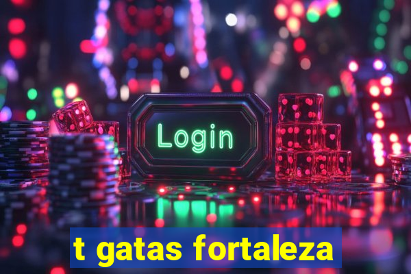 t gatas fortaleza