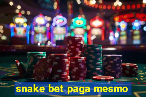 snake bet paga mesmo