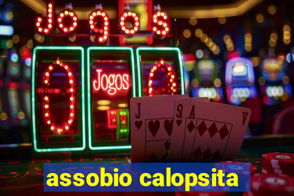 assobio calopsita