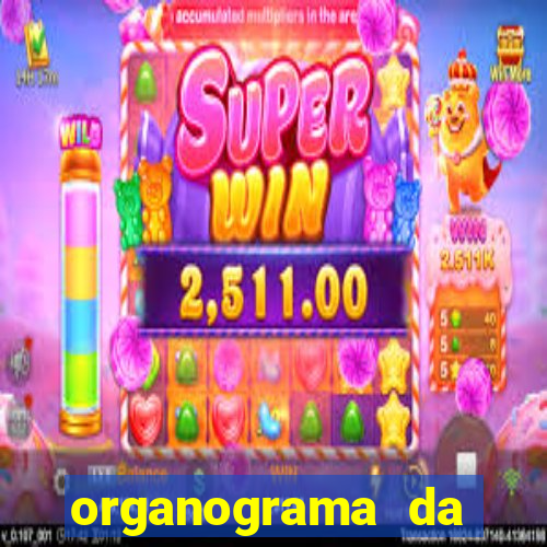 organograma da cacau show