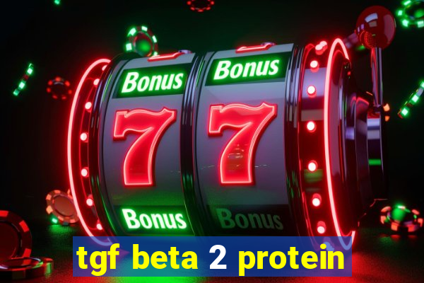 tgf beta 2 protein
