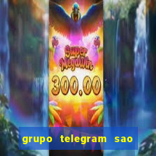 grupo telegram sao jose do rio preto