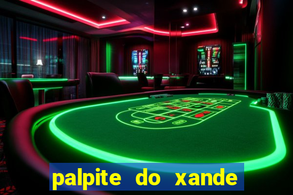 palpite do xande de hoje