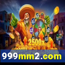 999mm2.com