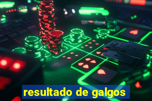 resultado de galgos