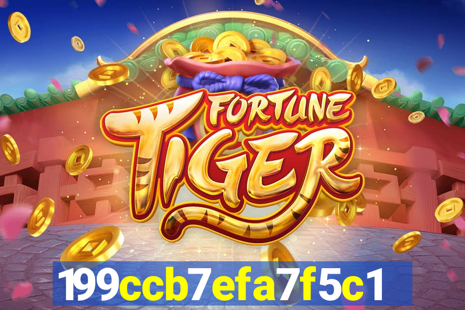 8855bet cassino