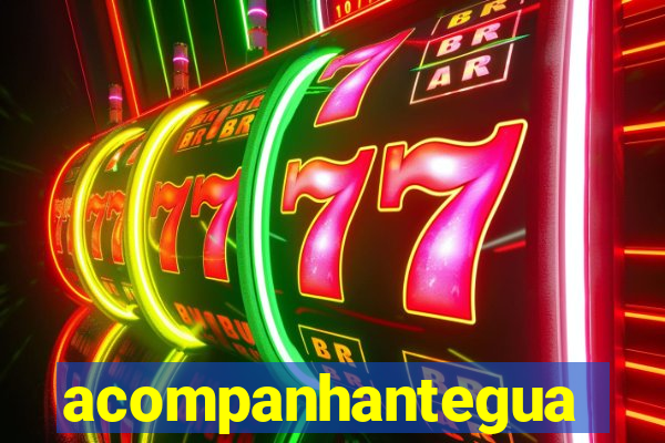 acompanhanteguanambi