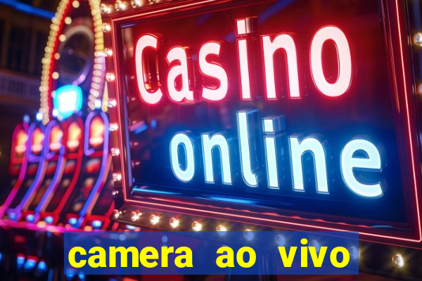 camera ao vivo terminal vila nova cachoeirinha