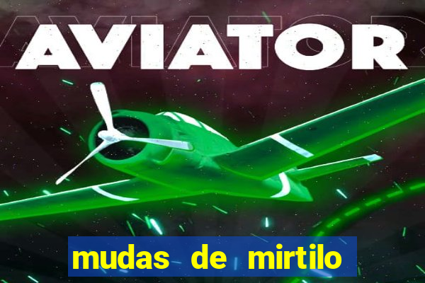 mudas de mirtilo em porto alegre
