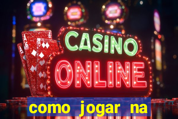 como jogar na lotinha do jogo do bicho
