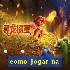 como jogar na lotinha do jogo do bicho