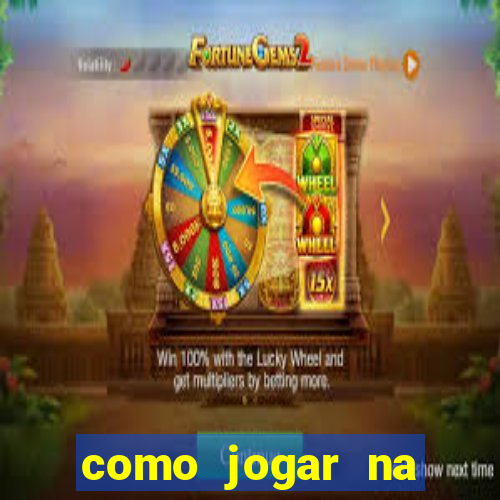 como jogar na lotinha do jogo do bicho