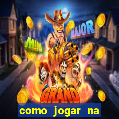como jogar na lotinha do jogo do bicho