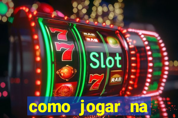 como jogar na lotinha do jogo do bicho