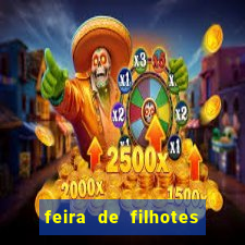 feira de filhotes porto alegre