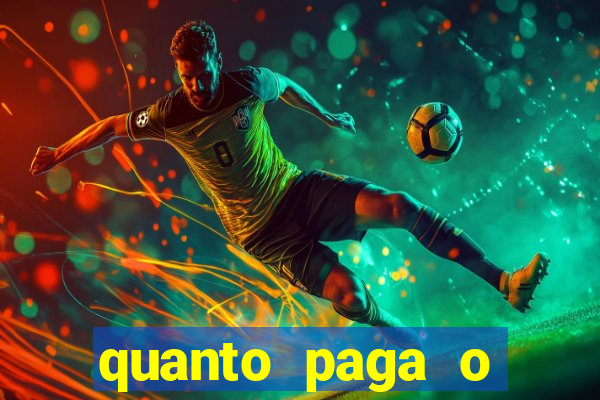 quanto paga o jungle fight