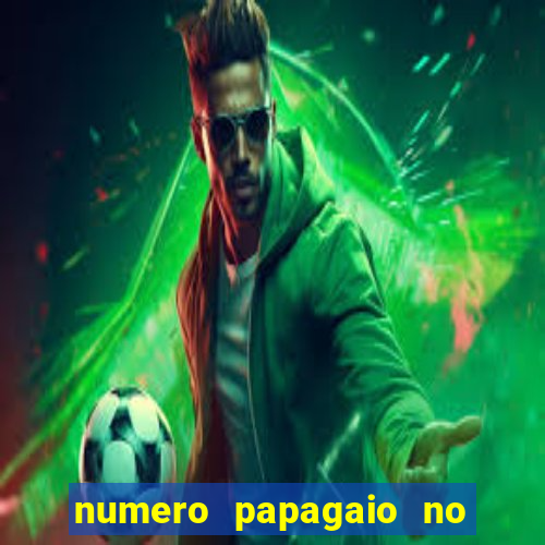 numero papagaio no jogo do bicho