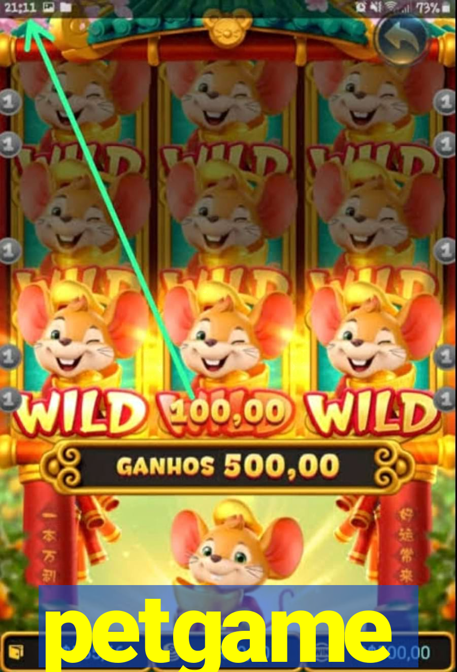 petgame