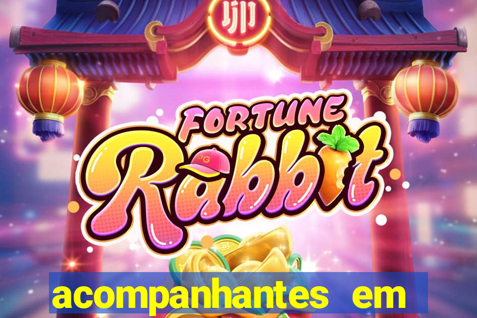 acompanhantes em cruz das almas