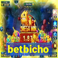 betbicho