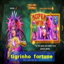 tigrinho fortune dinheiro infinito