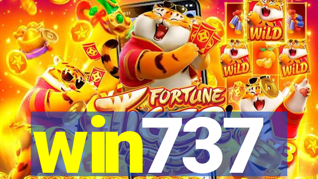 win737