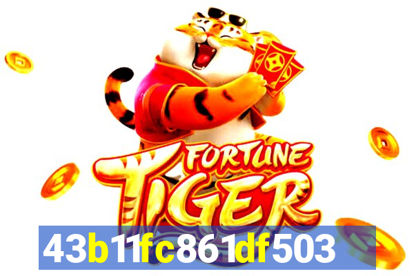 s55bet.net