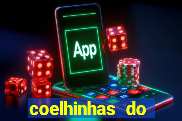 coelhinhas do brasil recife