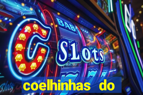 coelhinhas do brasil recife