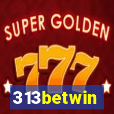 313betwin