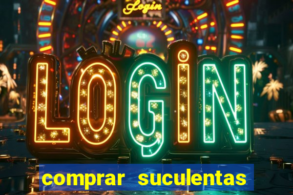 comprar suculentas direto do produtor