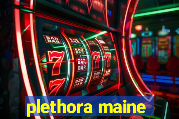 plethora maine