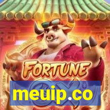 meuip.co