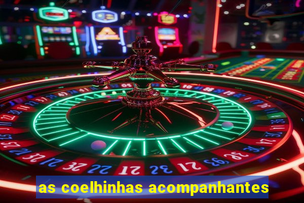 as coelhinhas acompanhantes
