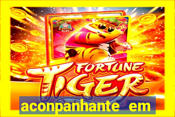 aconpanhante em porto alegre