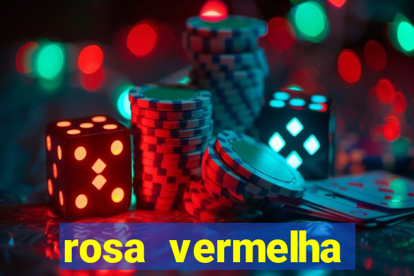 rosa vermelha (letra e cifra)